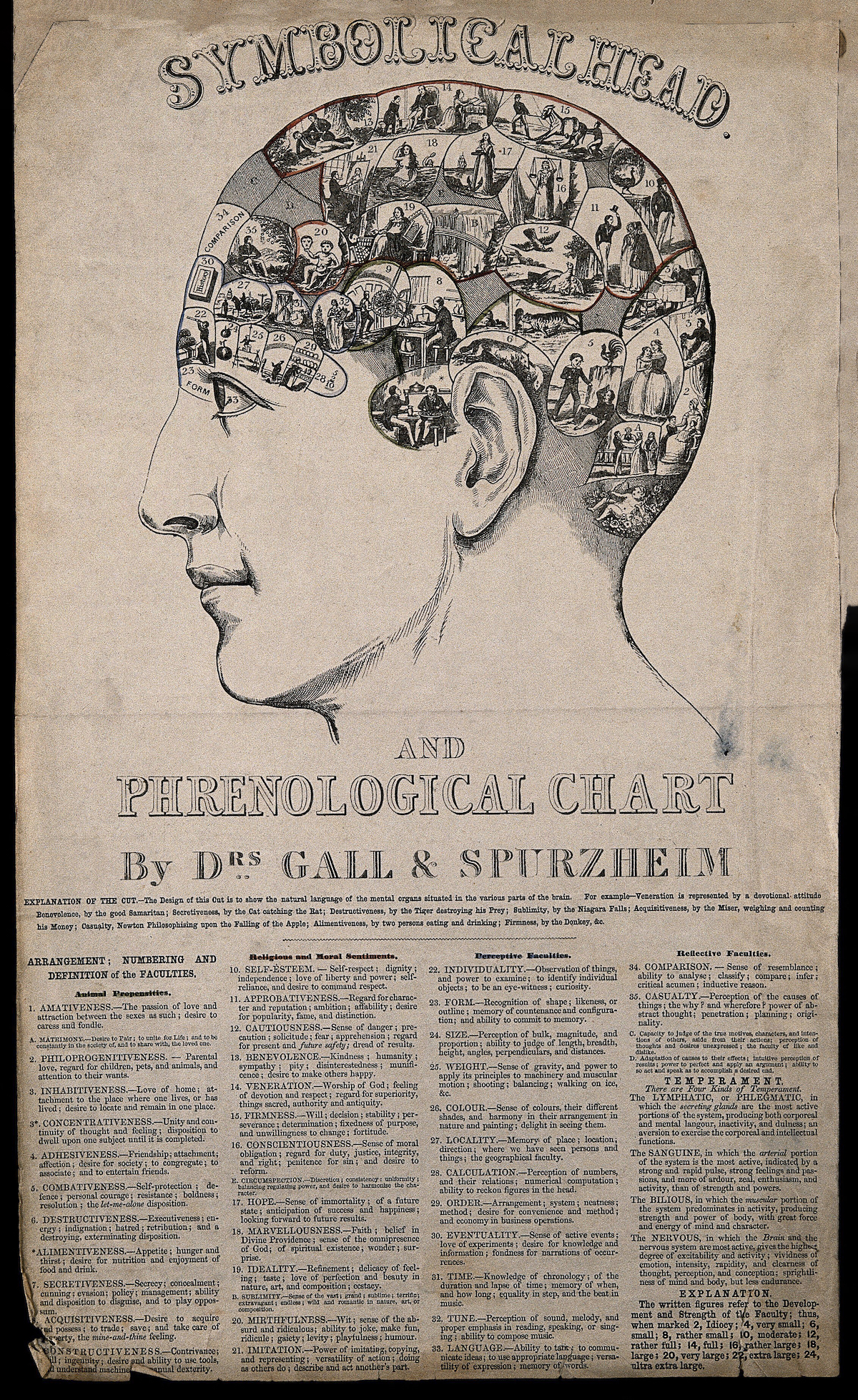 ‘Symbolical head’ containing images symbolising the phrenological faculties, c.1845. Wellcome Collection. Public Domain. ‘Symbolical head’ containing images symbolising the phrenological faculties, c.1845. Wellcome Collection. Public Domain.